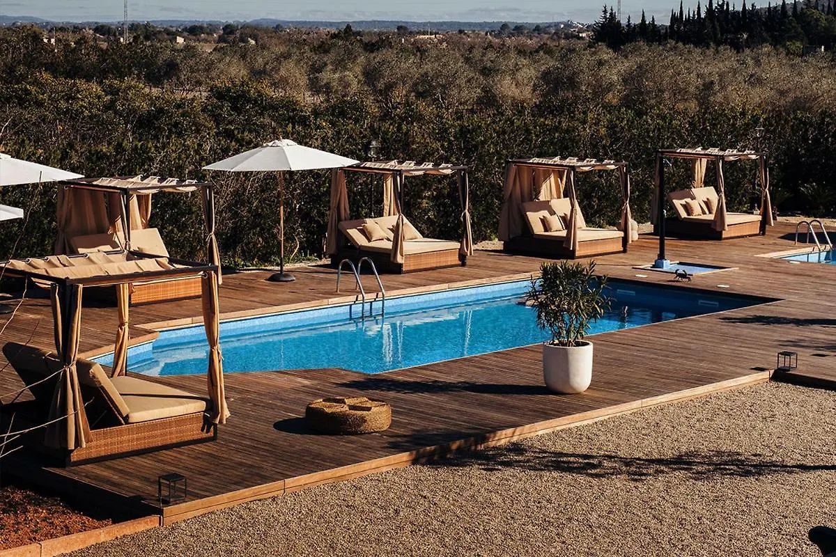 La Farm Baleares (Adults Only) Bed & Breakfast Santa Maria del Cami  Spain