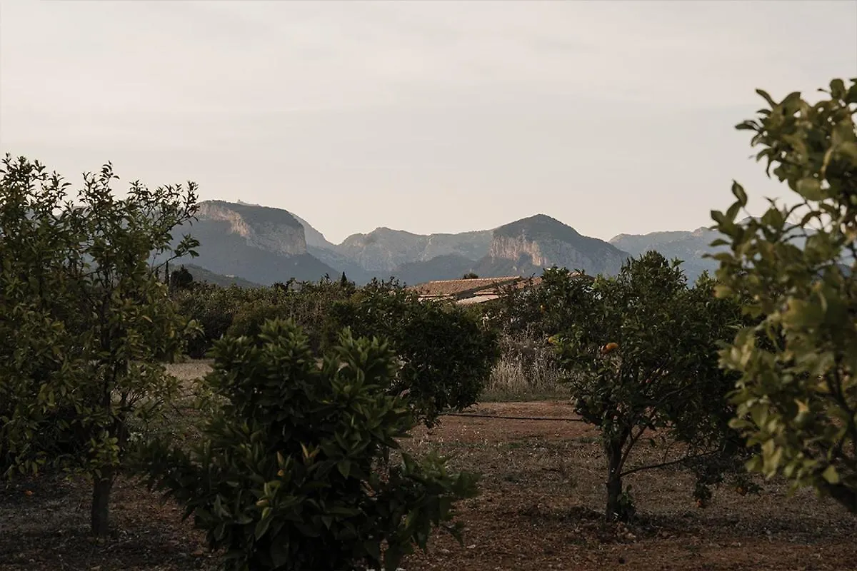 La Farm Baleares (Adults Only) Bed & Breakfast Santa Maria del Cami   Santa Maria del Cami (Mallorca)