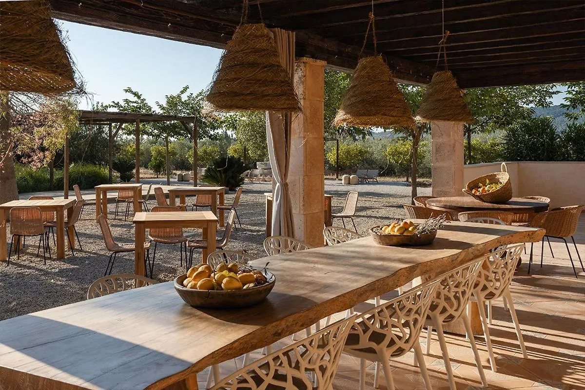 La Farm Baleares (Adults Only) Bed & Breakfast Santa Maria del Cami  4*, Santa Maria del Cami (Mallorca) Spain